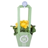 More LIPS® Primula Acaulis mix Tasje/ knijper