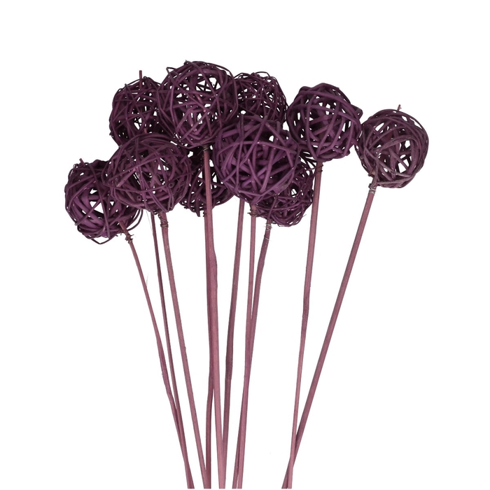 <h4>Bijsteker 50cm Brunchbal 5cm</h4>