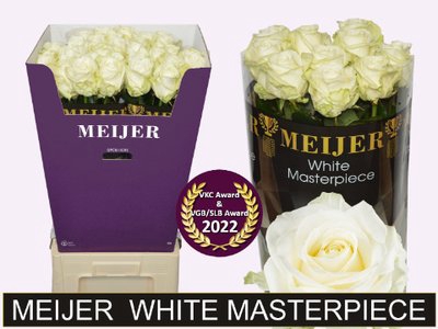 <h4>Rosa la avalanche+ Meijer White Masterpiece</h4>