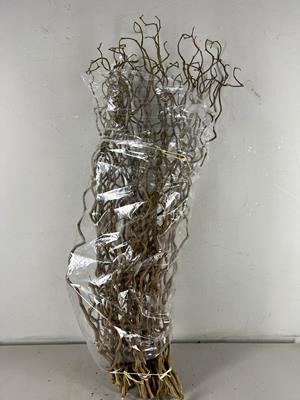 <h4>Corylus (1-jarig)</h4>