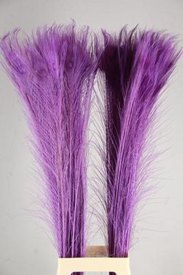 <h4>Feather Peacock Milka 110cm</h4>