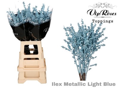 <h4>Ilex paint light blue metallic</h4>