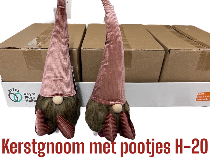 <h4>HUIS EN TUINDECO H%</h4>