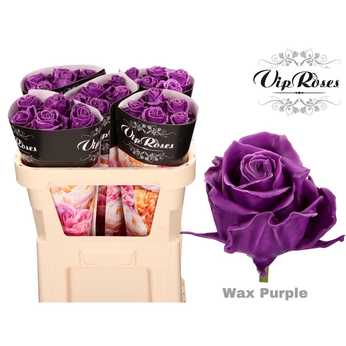 Vip Roses Webshop