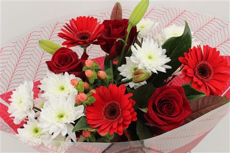 <h4>Bouquet 3 rosa 3 germini red</h4>