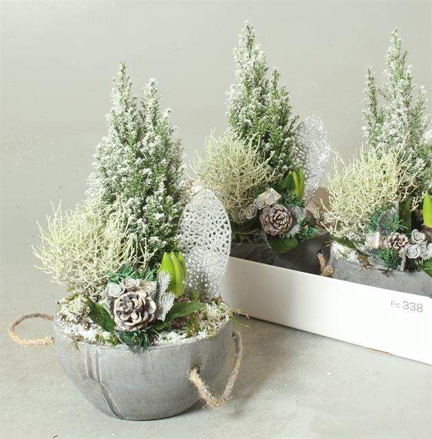 <h4>ARR TUINPLANTEN</h4>