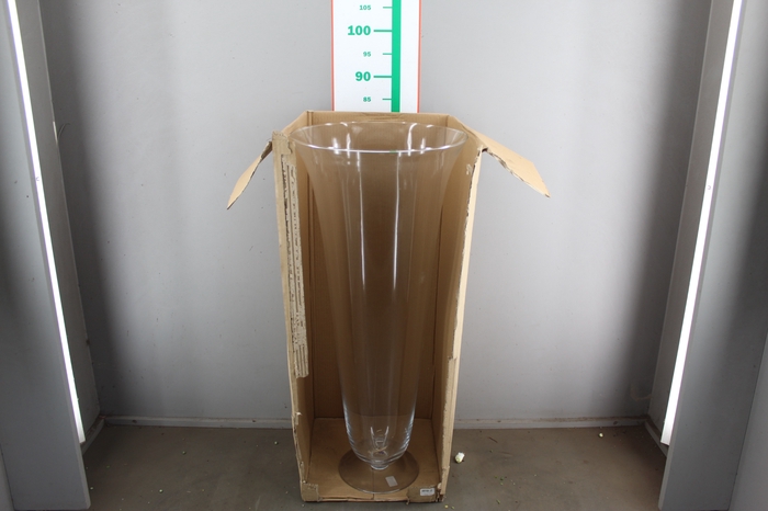 <h4>GLAS OP VOET 80 CM</h4>