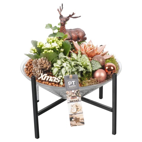 <h4>PTCHB6032 Arrangementen Kerst</h4>