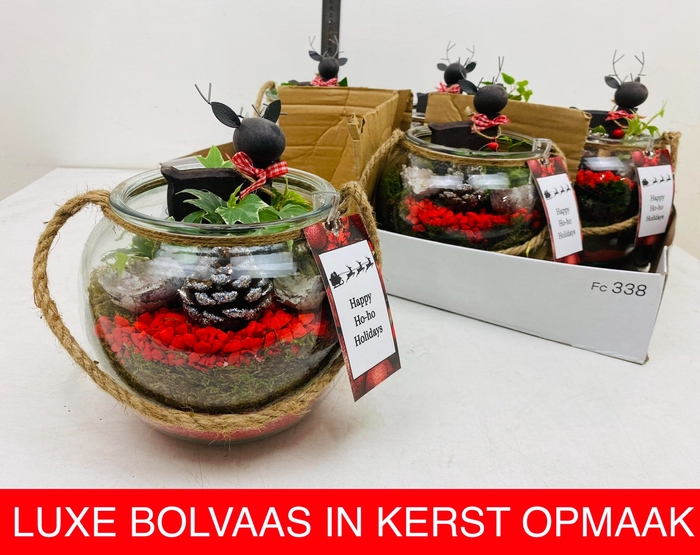 <h4>ARR KERST H%</h4>