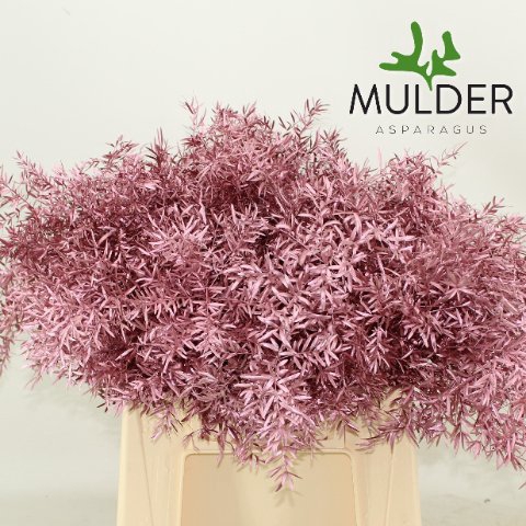 <h4>Leaf asparagus cwebe paint gold pink</h4>