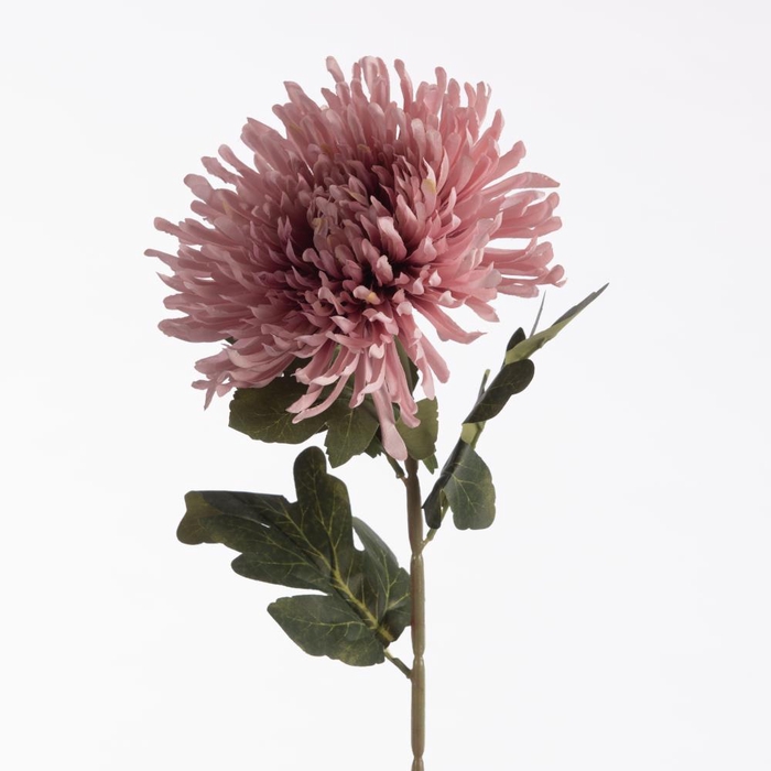 <h4>Af Chrys Spider L73cm Mauve</h4>