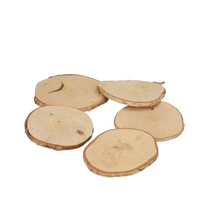 <h4>Dried articles Wood slice birch d08*9cm</h4>