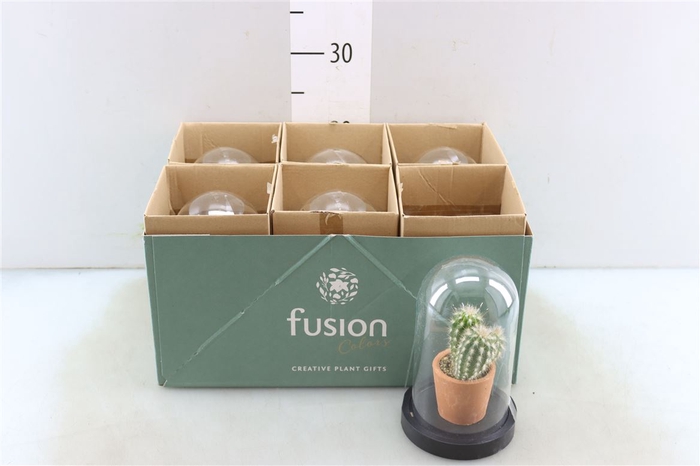 <h4>Opm Fc-22.0888 Glas Stolp Met Plateau</h4>
