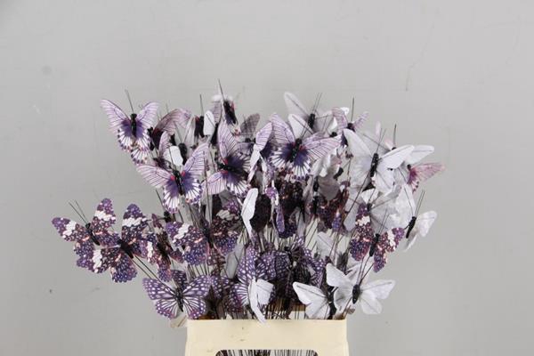 <h4>Stick Butterfly Bouquet Grey</h4>