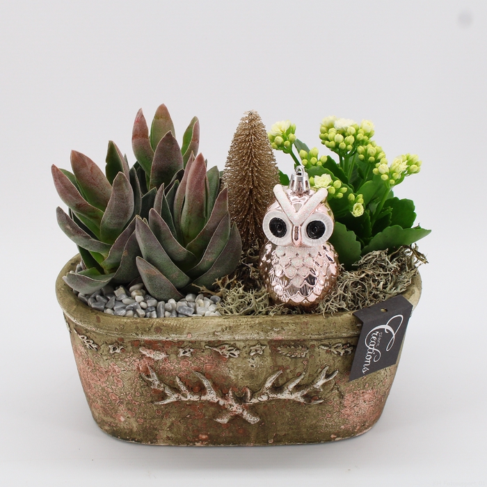 <h4>XMAS-23100 Kerst creatie</h4>