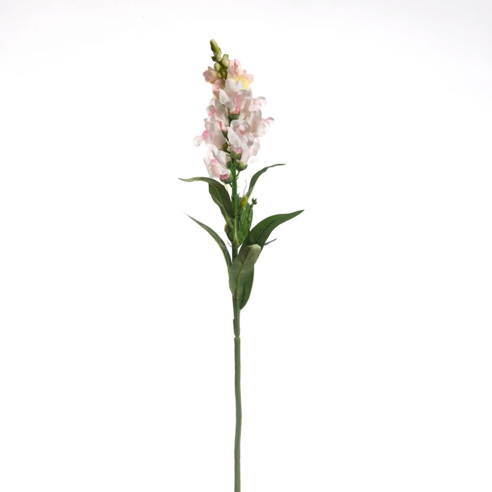 <h4>Af Leeuwebek L60cm Licht Roze</h4>