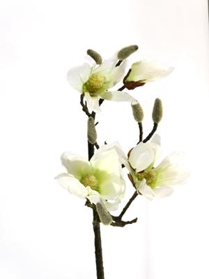 <h4>Silk Magnolia White  90cm Stem</h4>