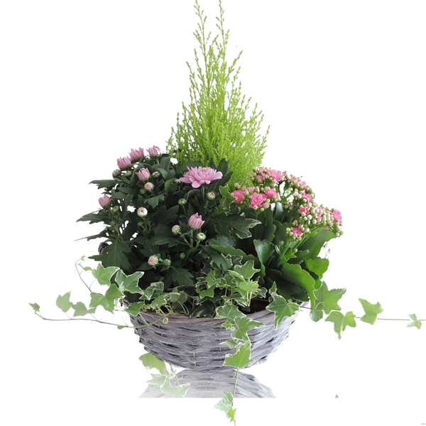 <h4>Arrangement in Mand Split Willow 29 cm</h4>