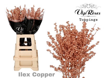 <h4>Ilex paint copper</h4>