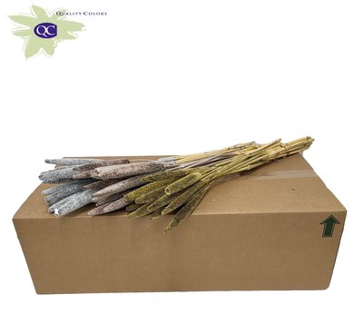 <h4>Babala on natural stem mixed colours wedding</h4>