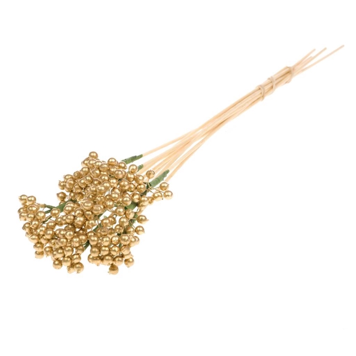 <h4>Berry clus o/s sb gold</h4>