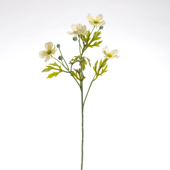<h4>Af Cosmea L55cm Wit/groen</h4>