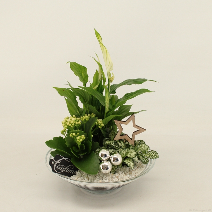 <h4>BAXM-2302W Xmas Fundamentals</h4>