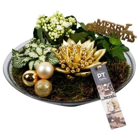 <h4>Arr. Kerst L%</h4>