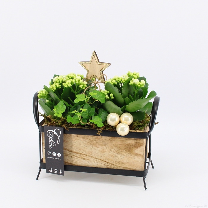 <h4>XMAS-23058 Kerst creatie</h4>