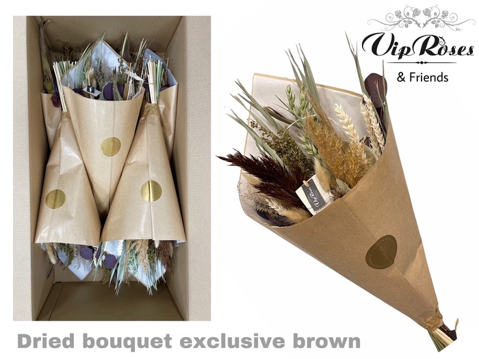 <h4>DRIED BOUQUET EXCLUSIVE BROWN</h4>