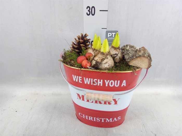 <h4>Arr. Kerst L%</h4>