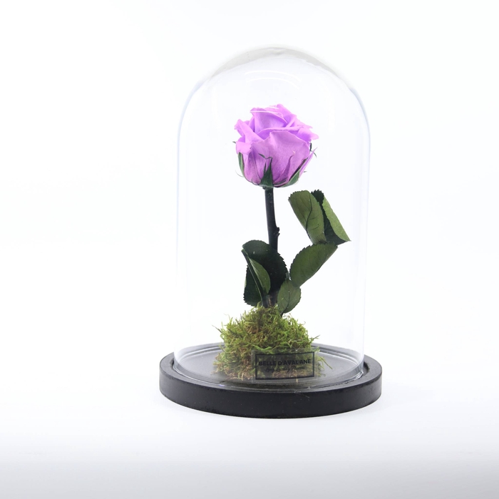 <h4>Stolp d12x20h br.lilac stand. glas</h4>