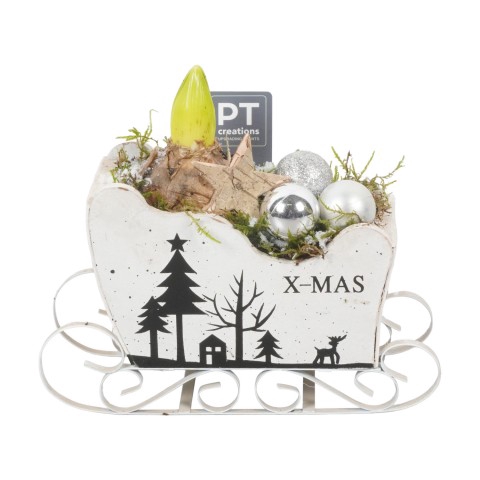 <h4>PTHCC8635 Arrangementen Kerst</h4>