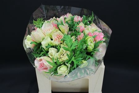 <h4>Anem Zwaar Lichtrose</h4>