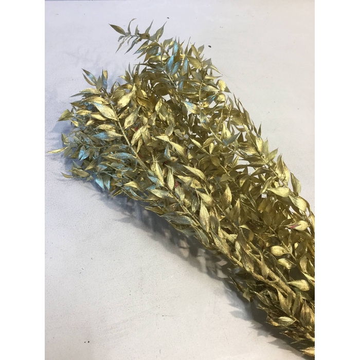 <h4>DRIED FLOWERS - RUSCUS GOLD 5PCS</h4>