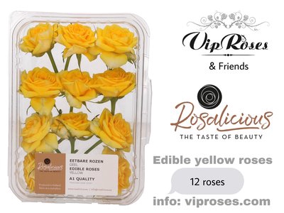 <h4>Edible rosa rosalicious yellow</h4>