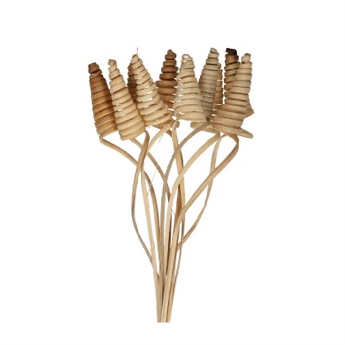 <h4>Deco Cane Cone 10pc Natural Bunch</h4>
