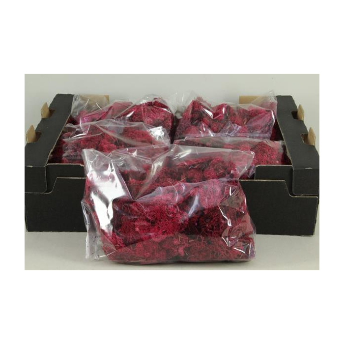 <h4>Moss Icelandic 500gr Red</h4>