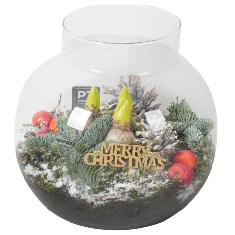 <h4>WA49-9 Arrangementen Bol/knolgewas</h4>