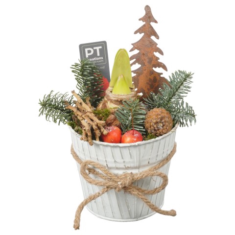 <h4>PTACH7961 Arrangementen Kerst</h4>