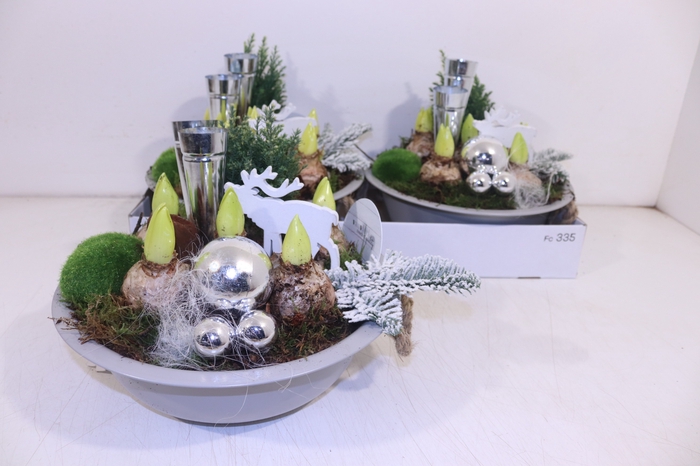 <h4>ARR TUINPLANTEN</h4>