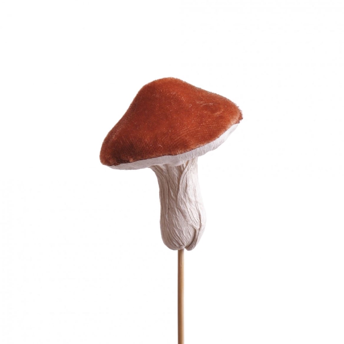 <h4>10cm Mushroom 7cm</h4>