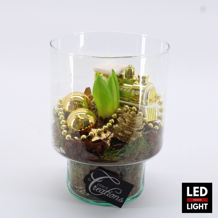 <h4>HYCXM-2314LED Hyacint Kerst terrarium</h4>