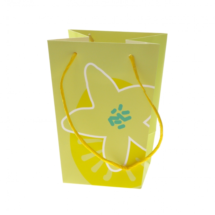 <h4>Tassen Bloem 15*11*20cm</h4>