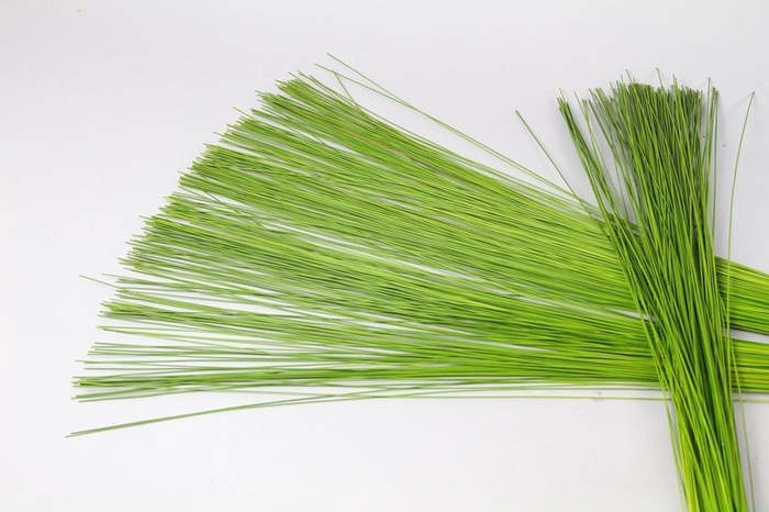 <h4>Ornamental grass per bunch</h4>
