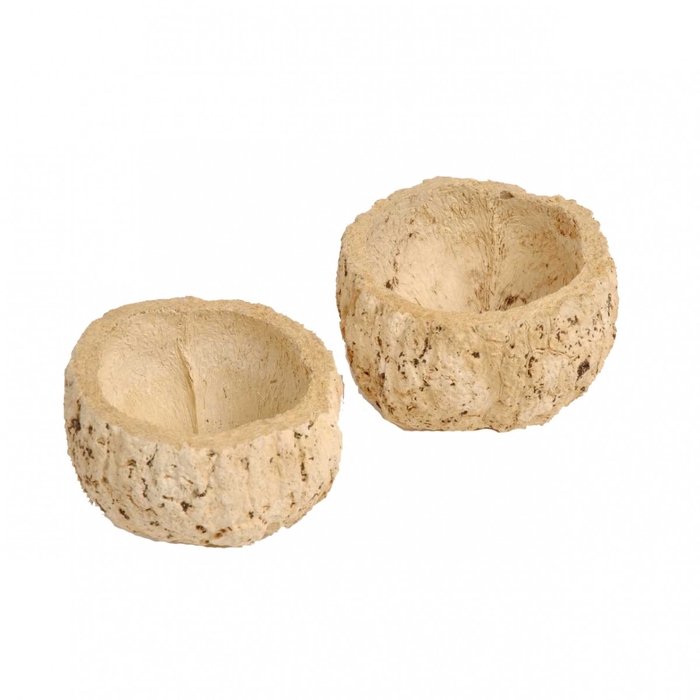 <h4>Dried articles Coco Ourico d10cm</h4>