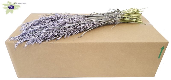<h4>Avena per bunch frosted milka</h4>
