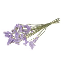 <h4>.Statice sinuata nat.lilac</h4>