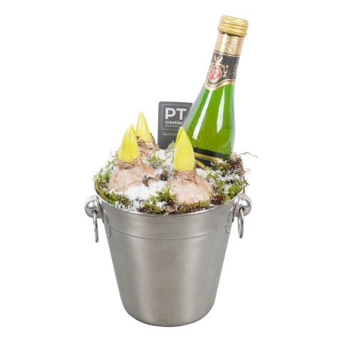 <h4>PTHN7219 Arrangementen kamerplanten</h4>