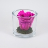 Cilinder d9x8h fuchsia roos glas